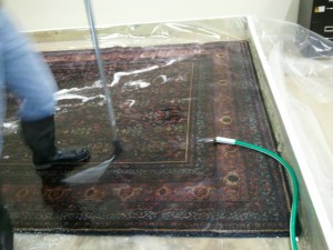 LAFAYETTE_CA_RUG_CLEANING_008